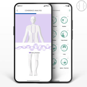 HealAdvisor Analyse Meridian Module